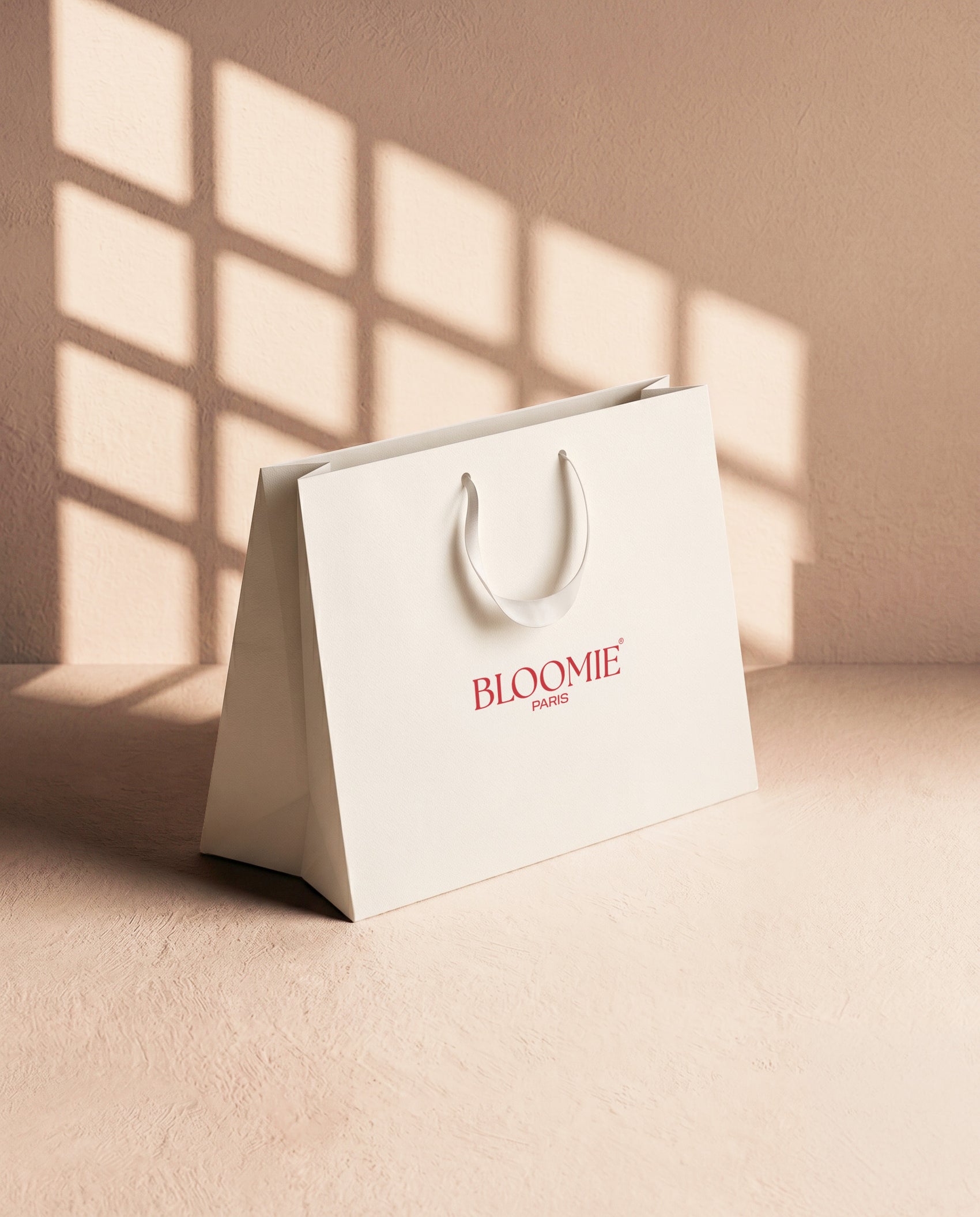 Sac Cadeau